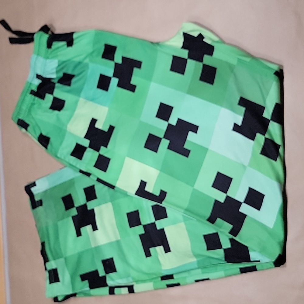 Minecraft Creeper Pajama Pants Size 2X, Like New Condition - Picture 8 of 15